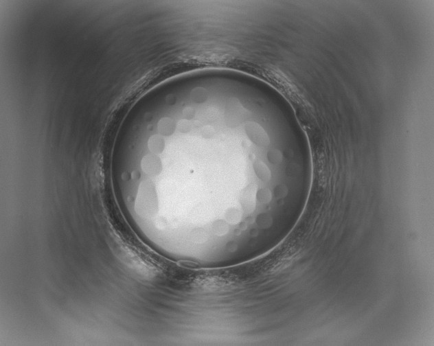 X0000073470634200608111537