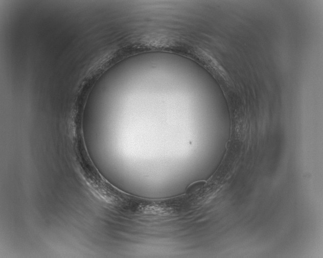 X0000073470635200608111537