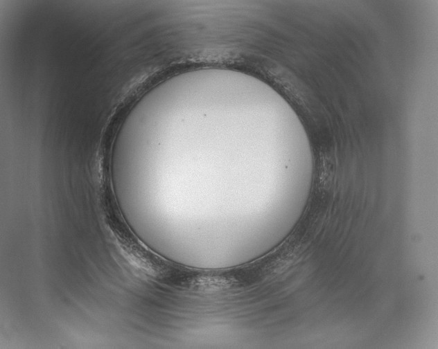 X0000073470636200608111537