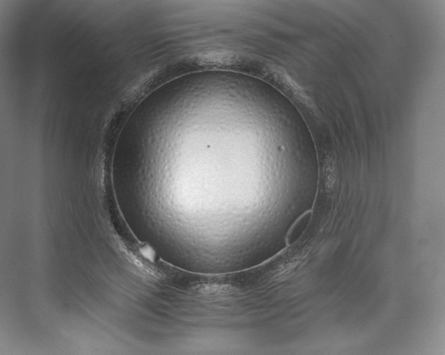 X0000073470637200608111537