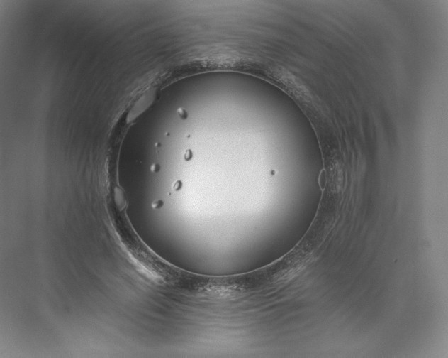 X0000073470638200608111537