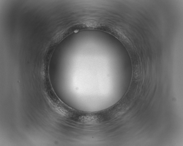 X0000073470639200608111537