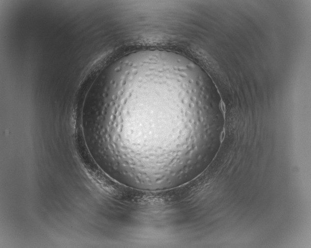 X0000073470640200608111537