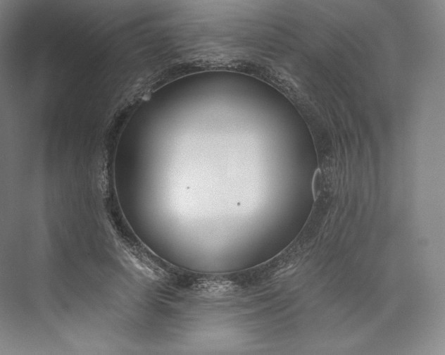 X0000073470642200608111537