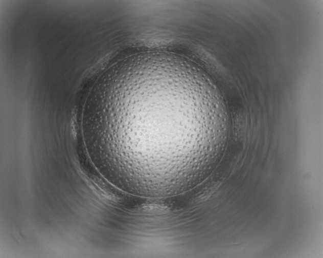 X0000073470644200608111537