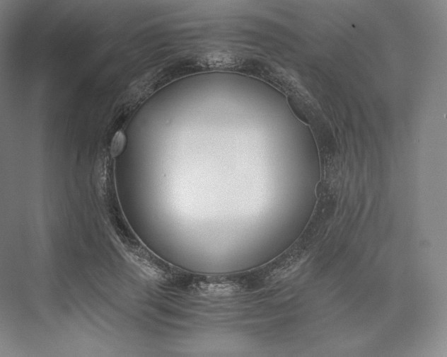 X0000073470645200608111537