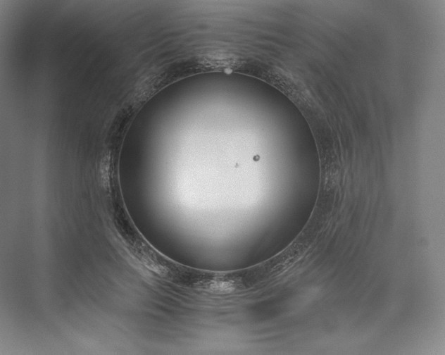 X0000073470647200608111537