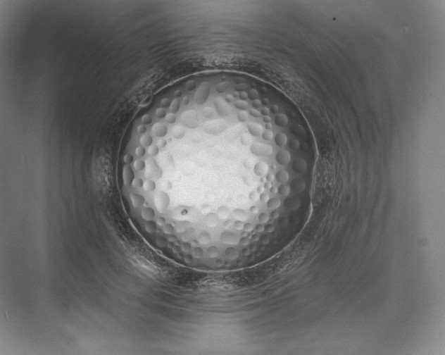 X0000073470648200608111537