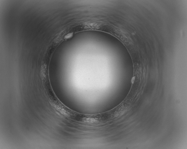 X0000073470649200608111537