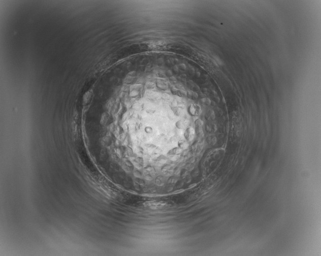 X0000073470650200608111537