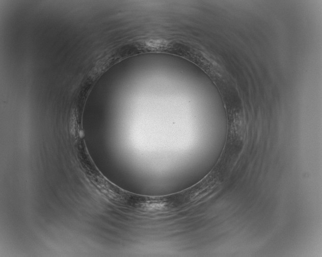 X0000073470651200608111537