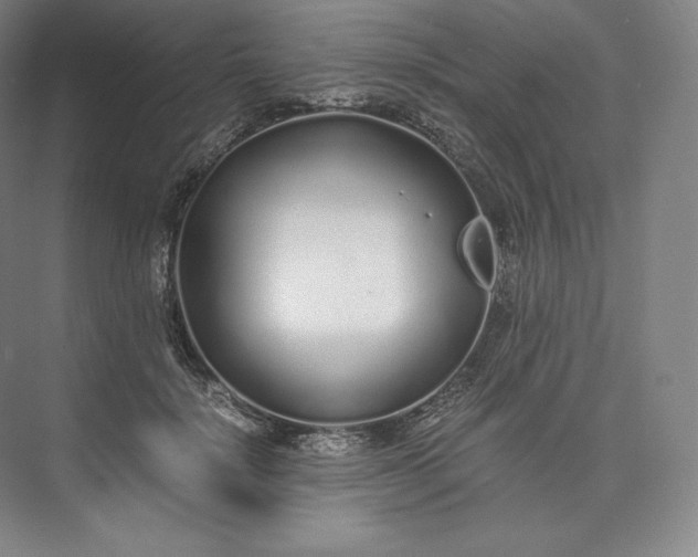 X0000073470652200608111537