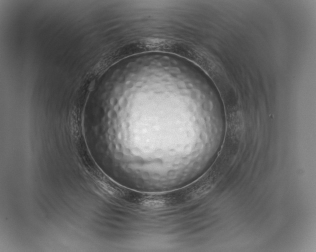 X0000073470653200608111537