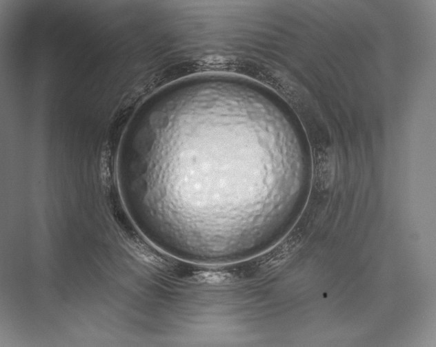 X0000073470654200608111537