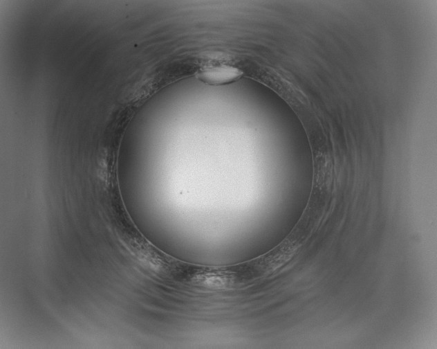 X0000073470655200608111537