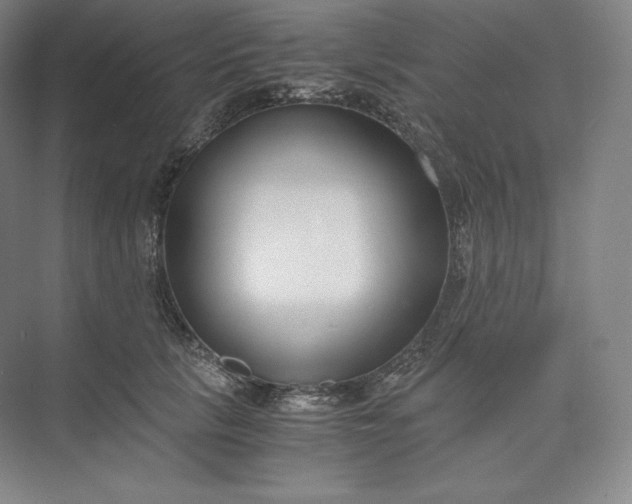 X0000073470657200608111537