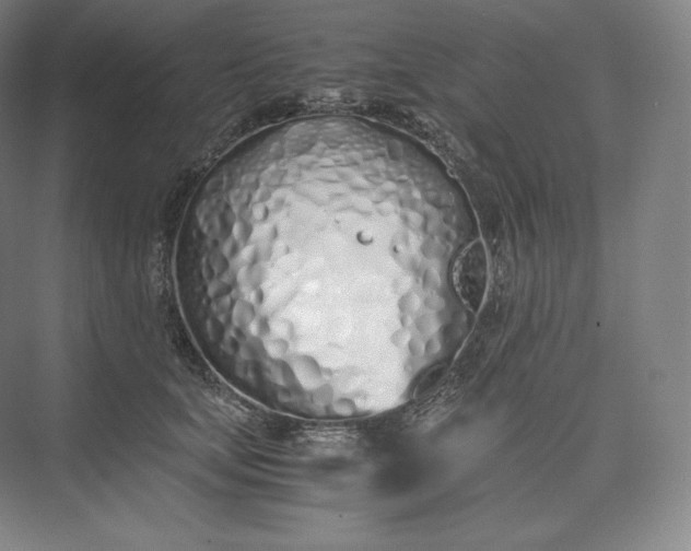 X0000073470659200608111537