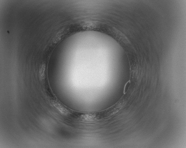 X0000073470660200608111537