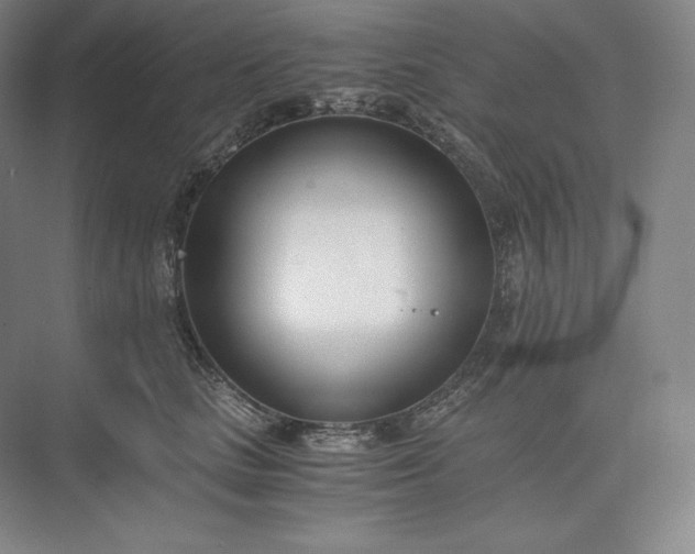 X0000073470661200608111537