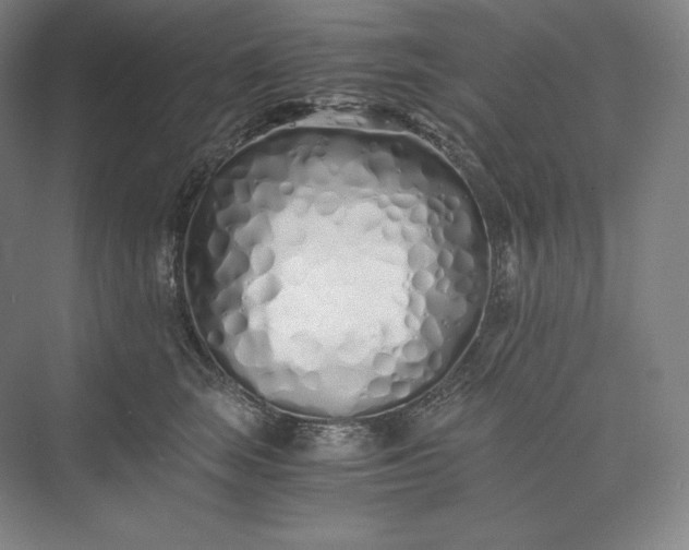 X0000073470663200608111537