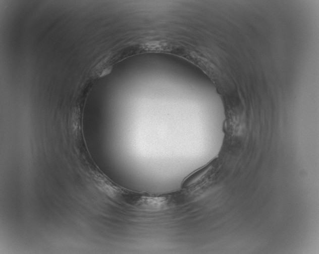 X0000073470665200608111537