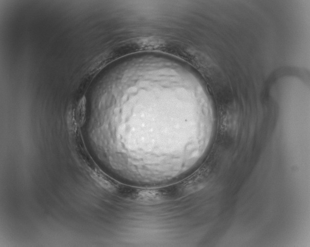 X0000073470666200608111537