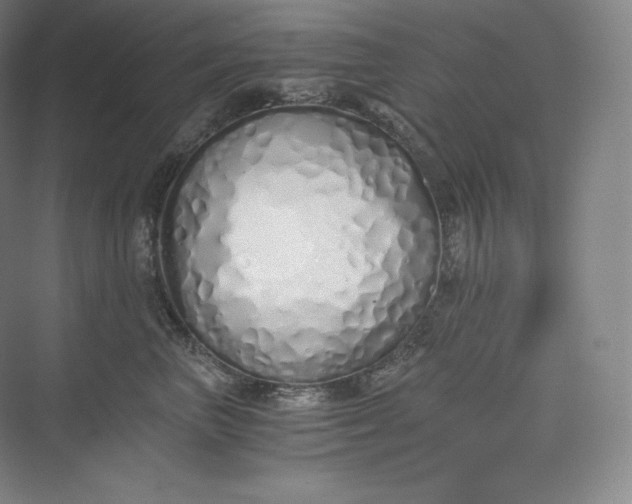 X0000073470667200608111537