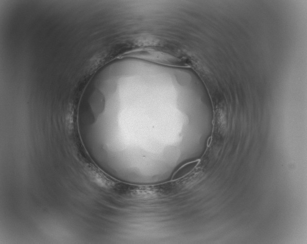 X0000073470668200608111537