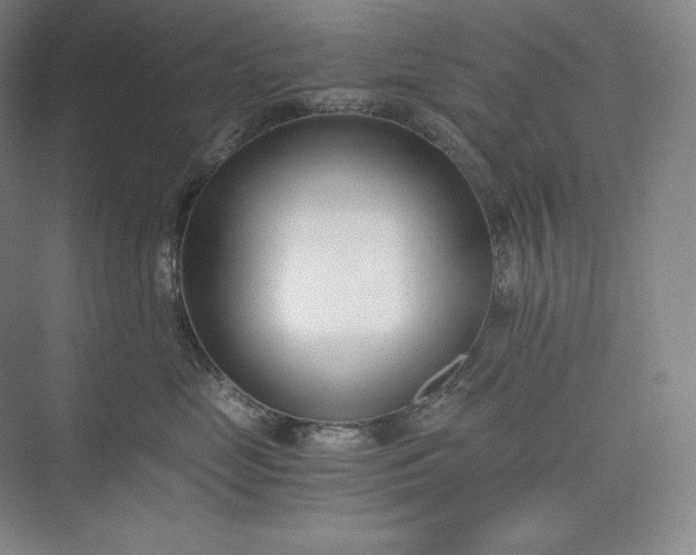 X0000073470669200608111537