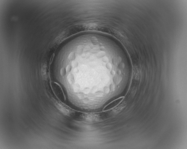 X0000073470670200608111537