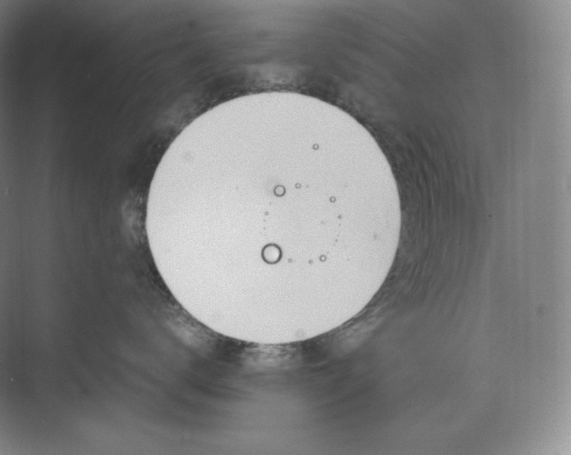 X0000073470672200608111537