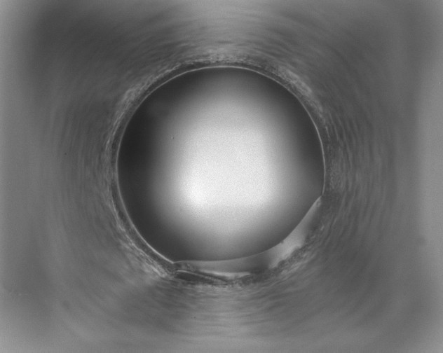 X0000073470673200608111537