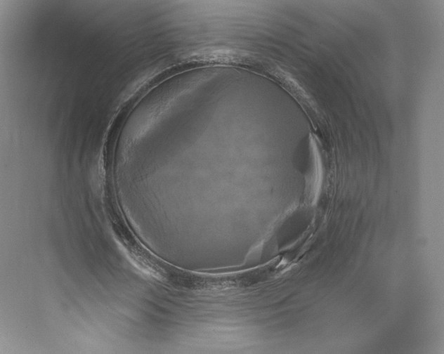 X0000073470674200608111537