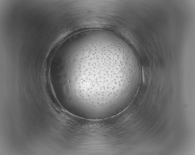 X0000073470675200608111537