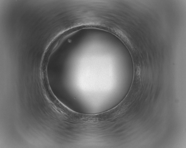 X0000073470676200608111537