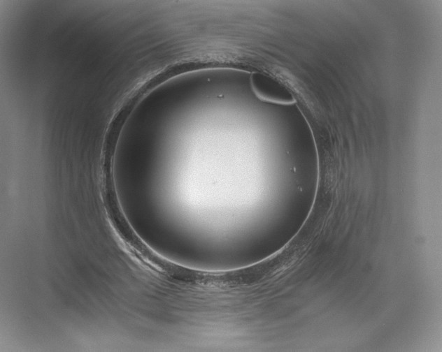 X0000073470677200608111537