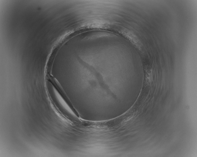 X0000073470678200608111537