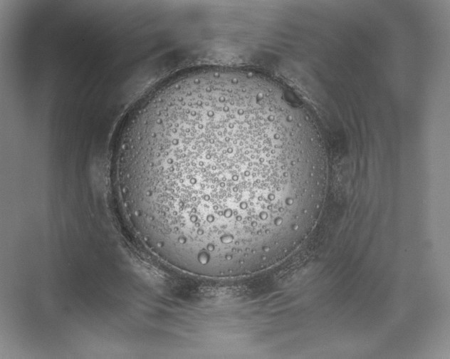 X0000073470679200608111536