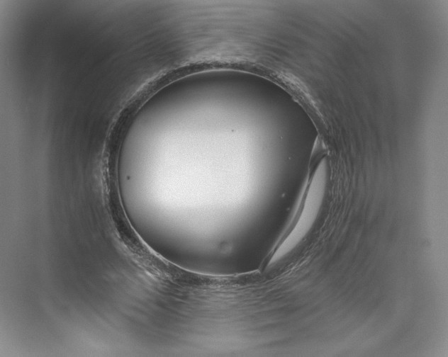 X0000073470680200608111536