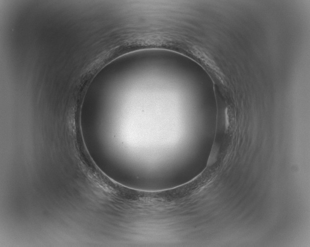 X0000073470681200608111536