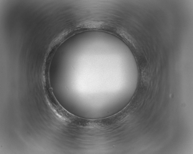 X0000073470682200608111536