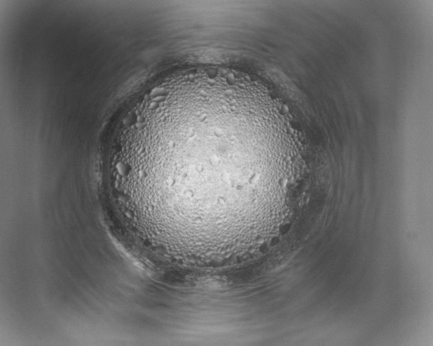 X0000073470683200608111536