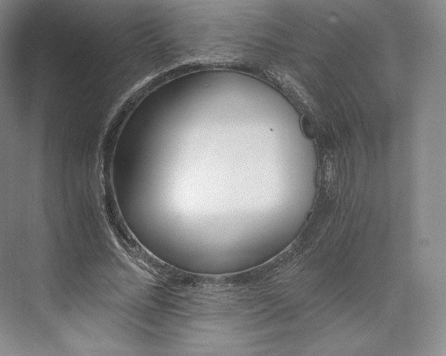 X0000073470684200608111536