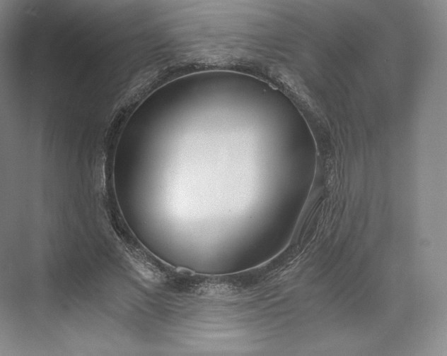 X0000073470685200608111536