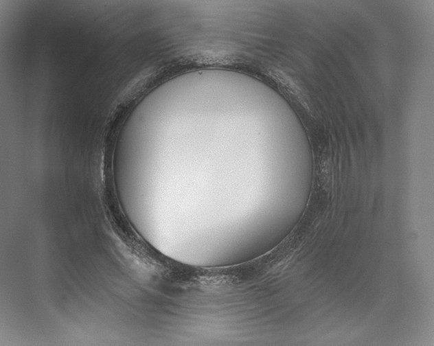 X0000073470686200608111536