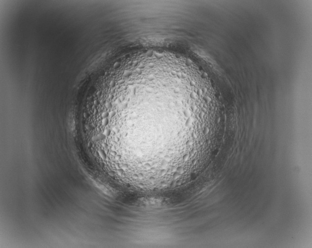 X0000073470687200608111536