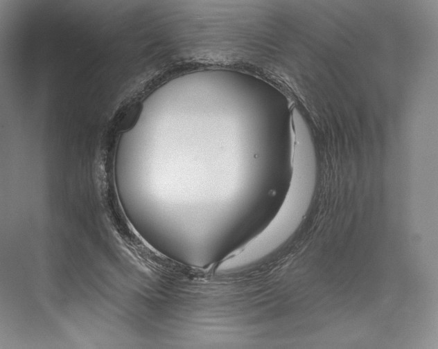 X0000073470688200608111536