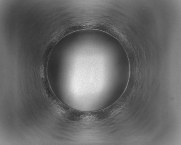 X0000073470689200608111536