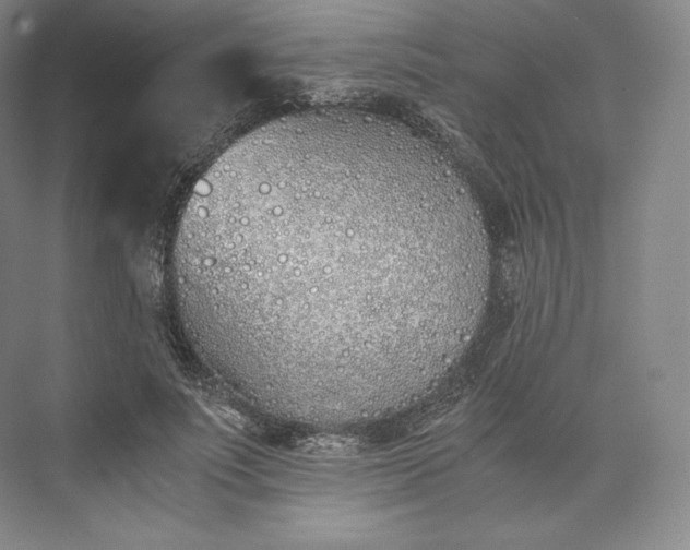 X0000073470691200608111536