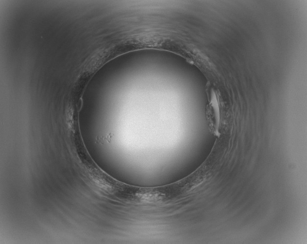 X0000073470693200608111536